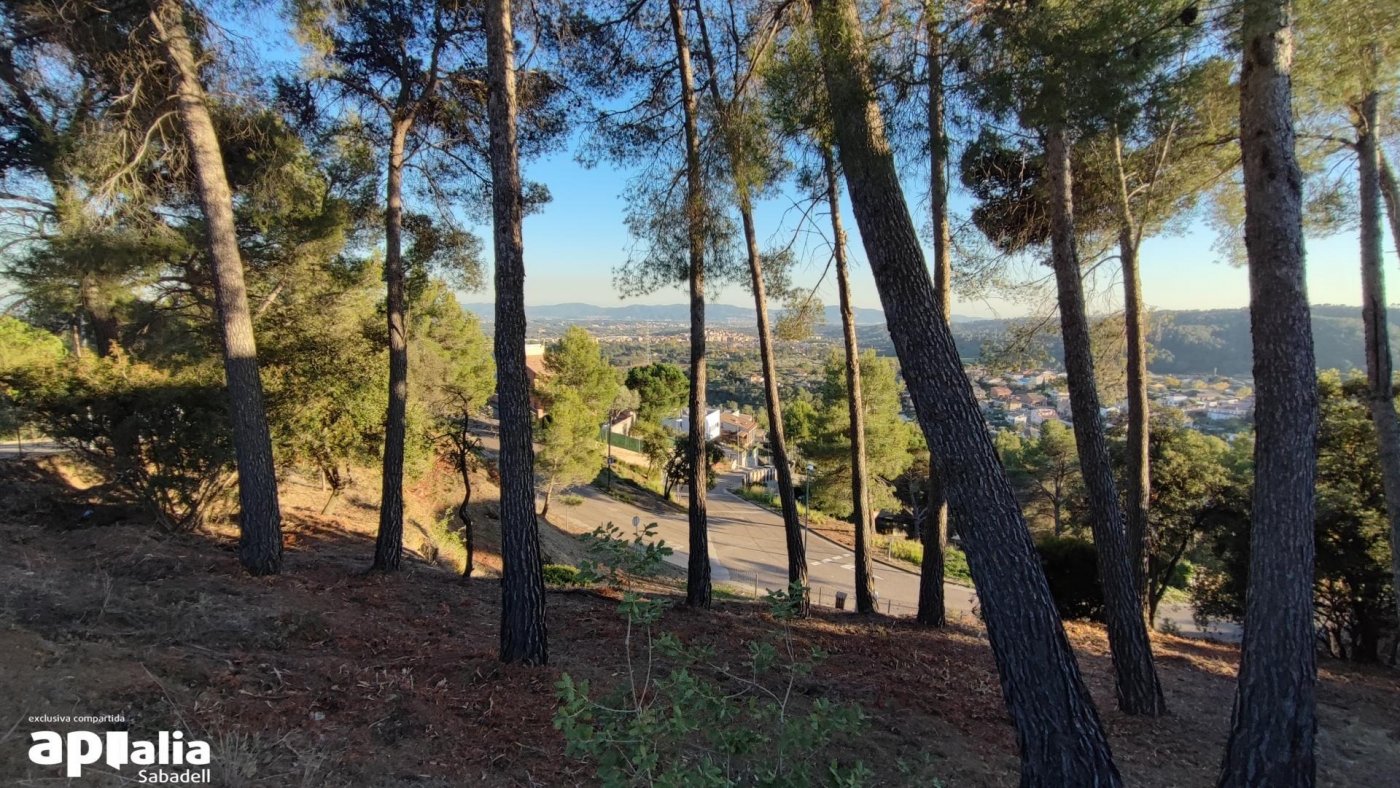Terreno urbano