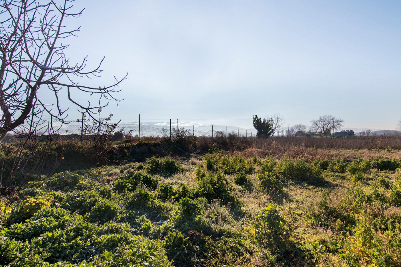 Terreno rural